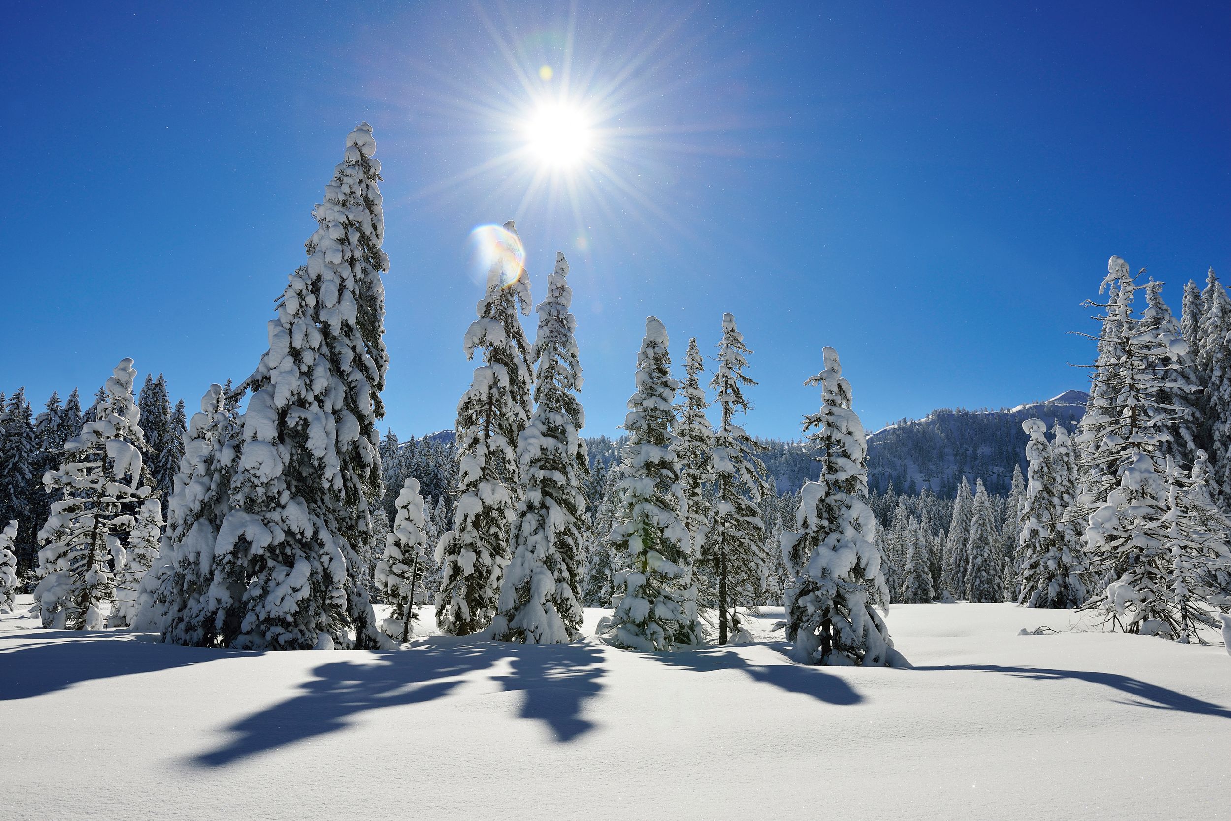 Winklmoos-Alm winter landscape
