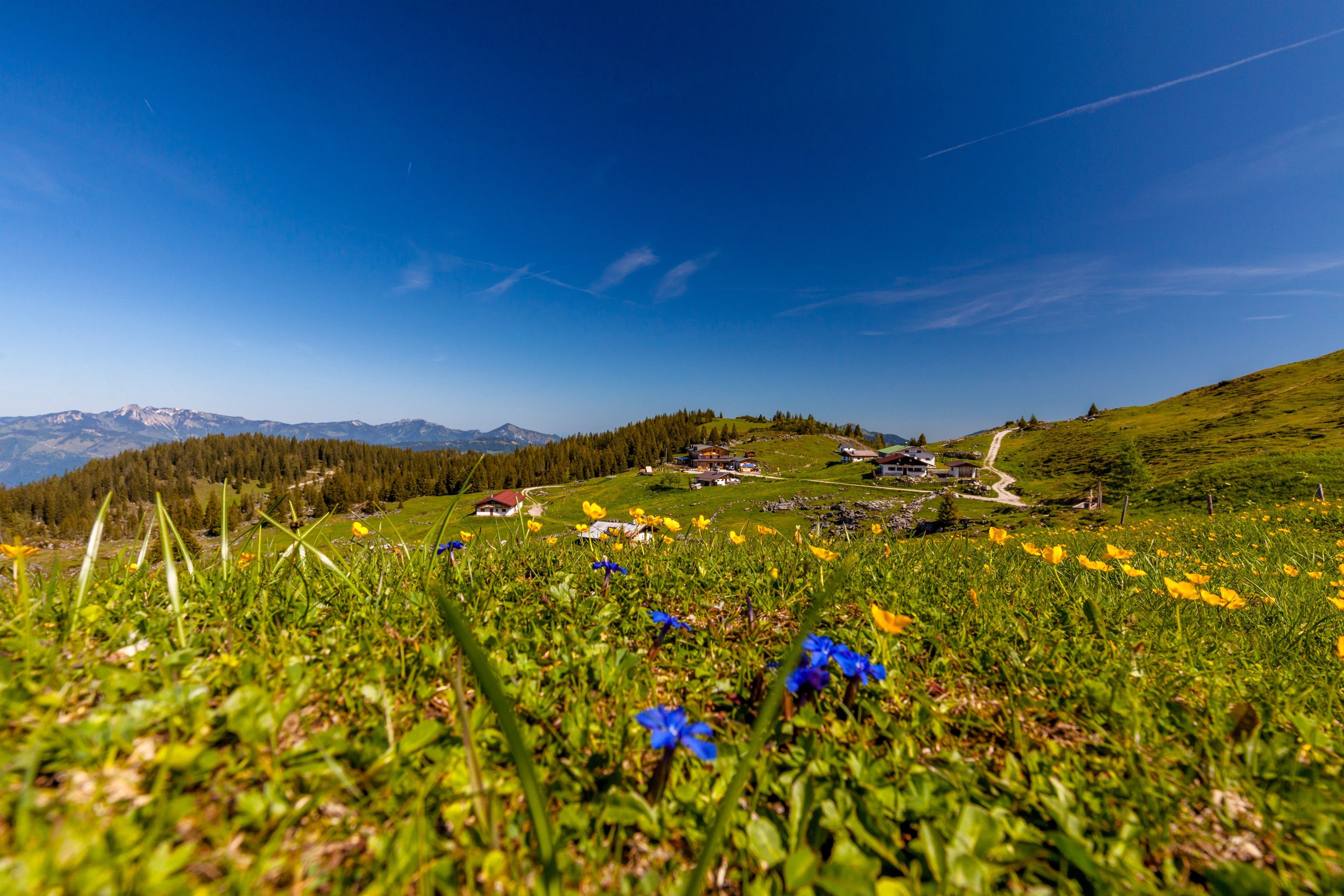 Straubinger Haus Klausenberg Plus Fellhorn Summit Hike