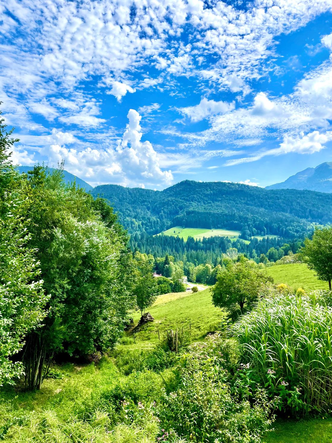 Ausblick Balkon