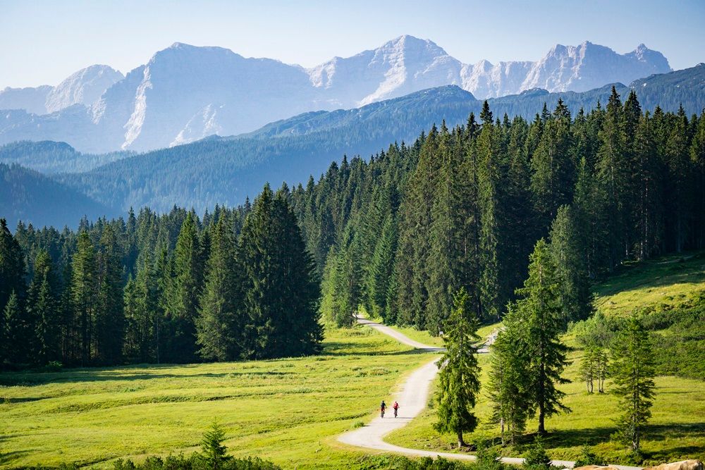Mit dem Fahrrad Winklmoos-Alm
