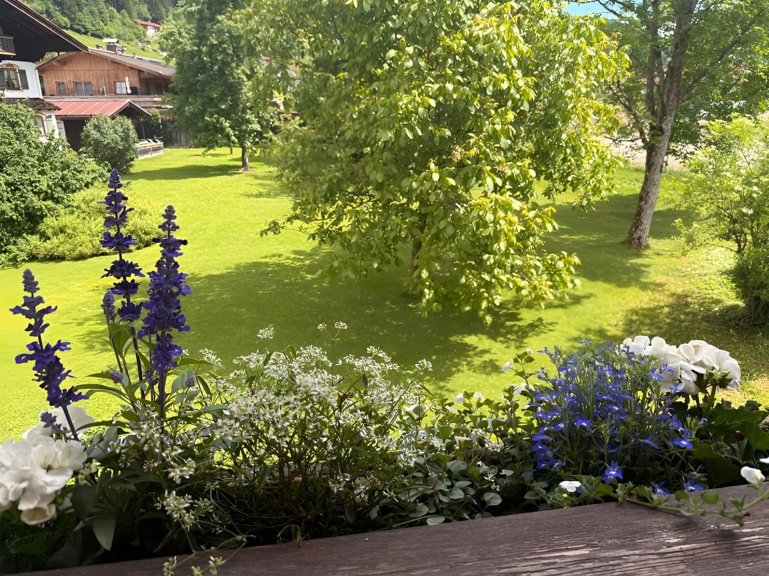 Blick vom Balkon