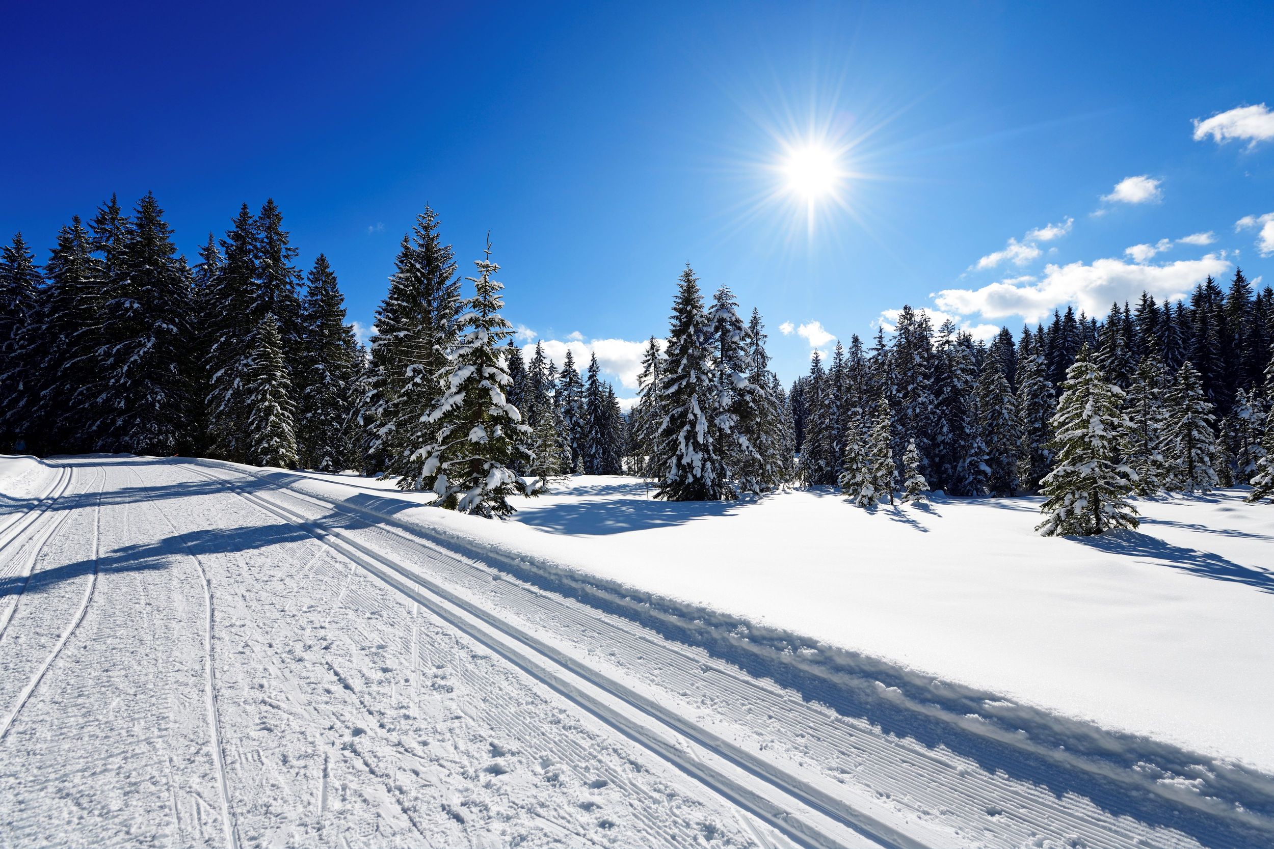 Winterlandschaft Winklmoos-Alm