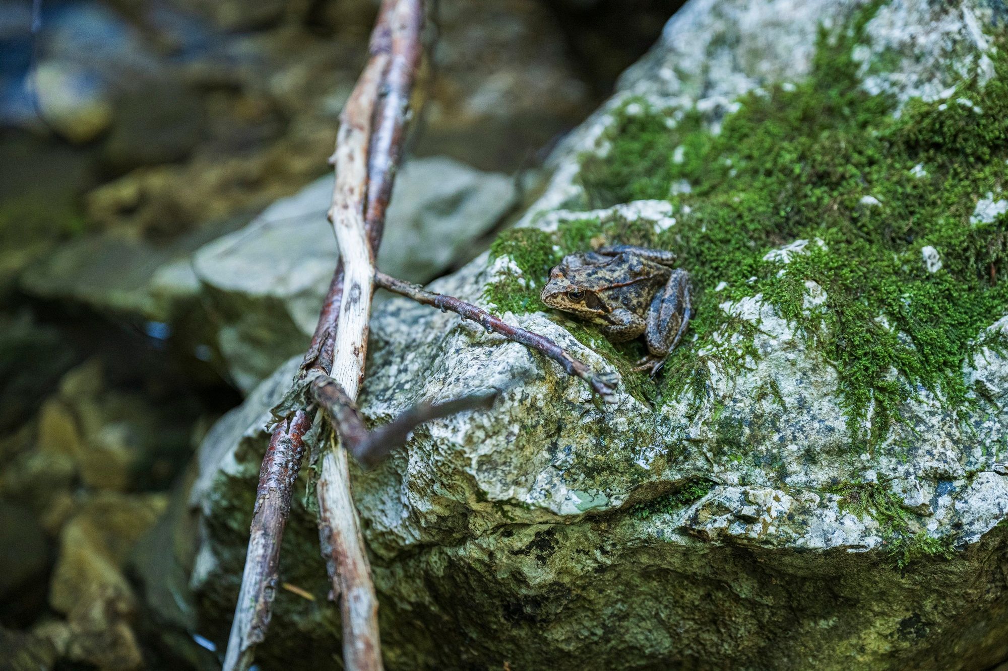 Klausenbachklamm Reit im Winkl