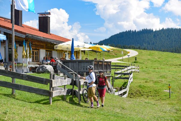 Mit dem Mountainbike auf der Winklmoos-Alm