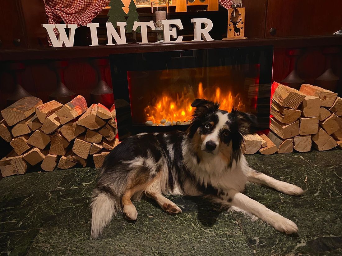 cc5675fe-5144-4ce1-86a7-46eb9d4d1f5e ok