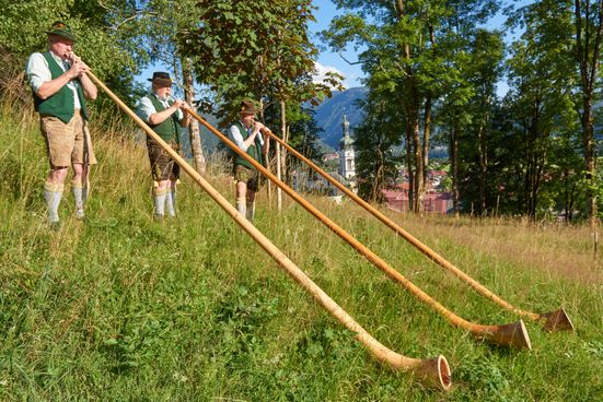 Alphornbläser