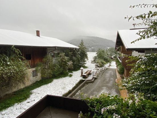 view from balcony