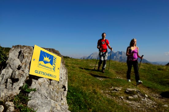 Premiumweg Gletscherblick Alpin