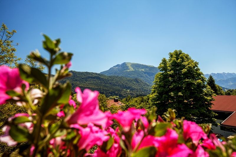 Ausblick vom Balkon