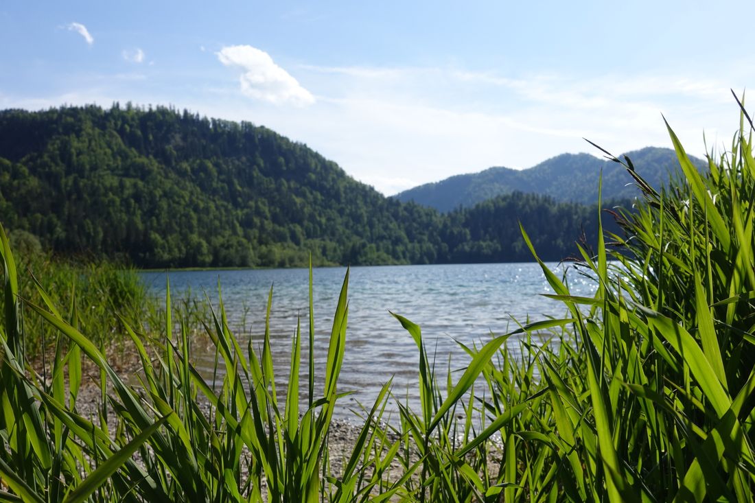 Weitsee Sommer