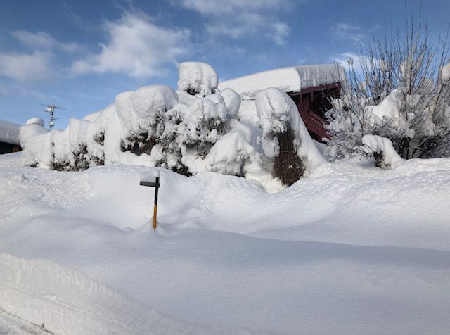 Winter Impressionen (Blick auf unser Haus)