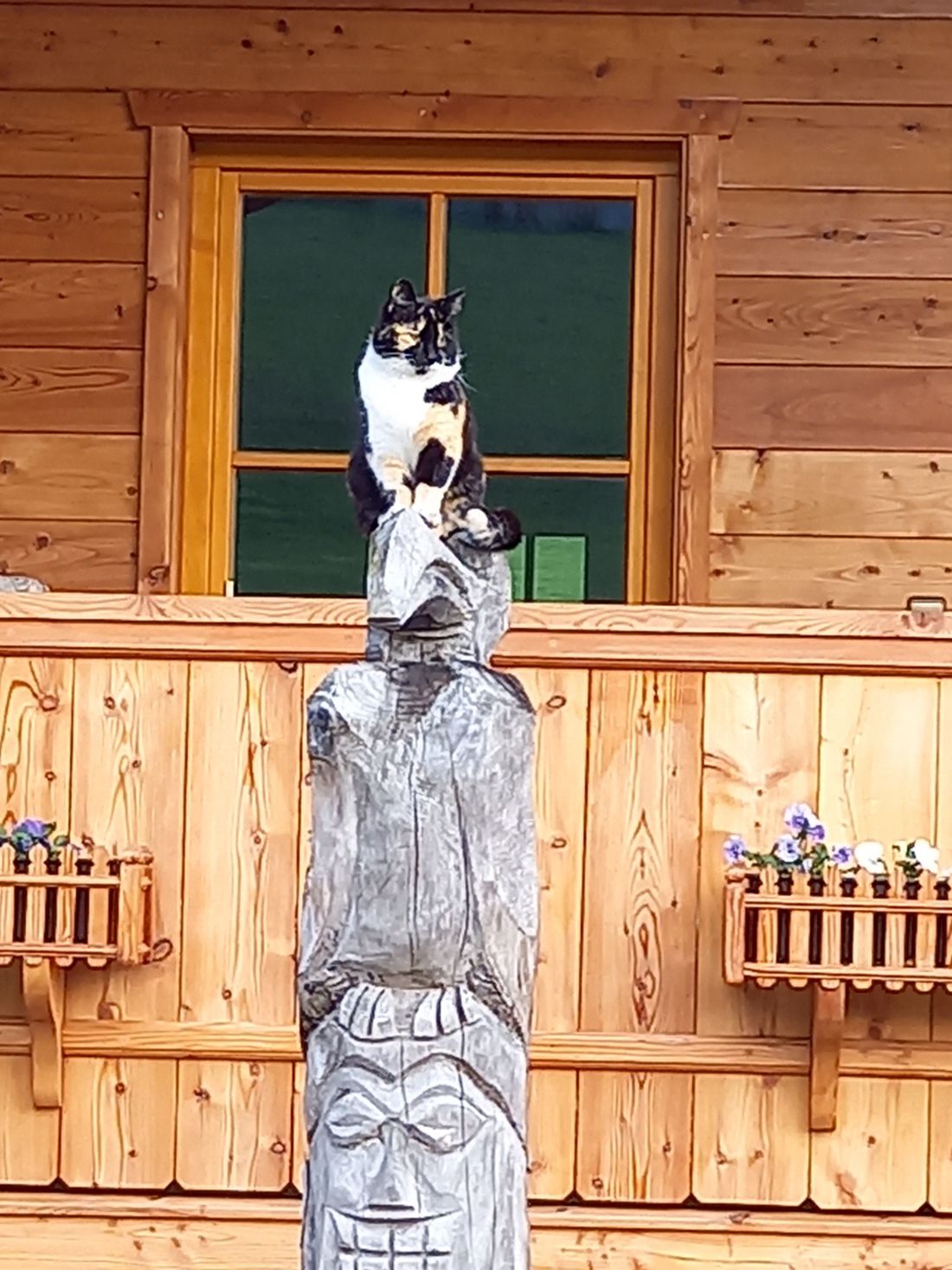Herzlich Willkommen im Haus Mooshäusl