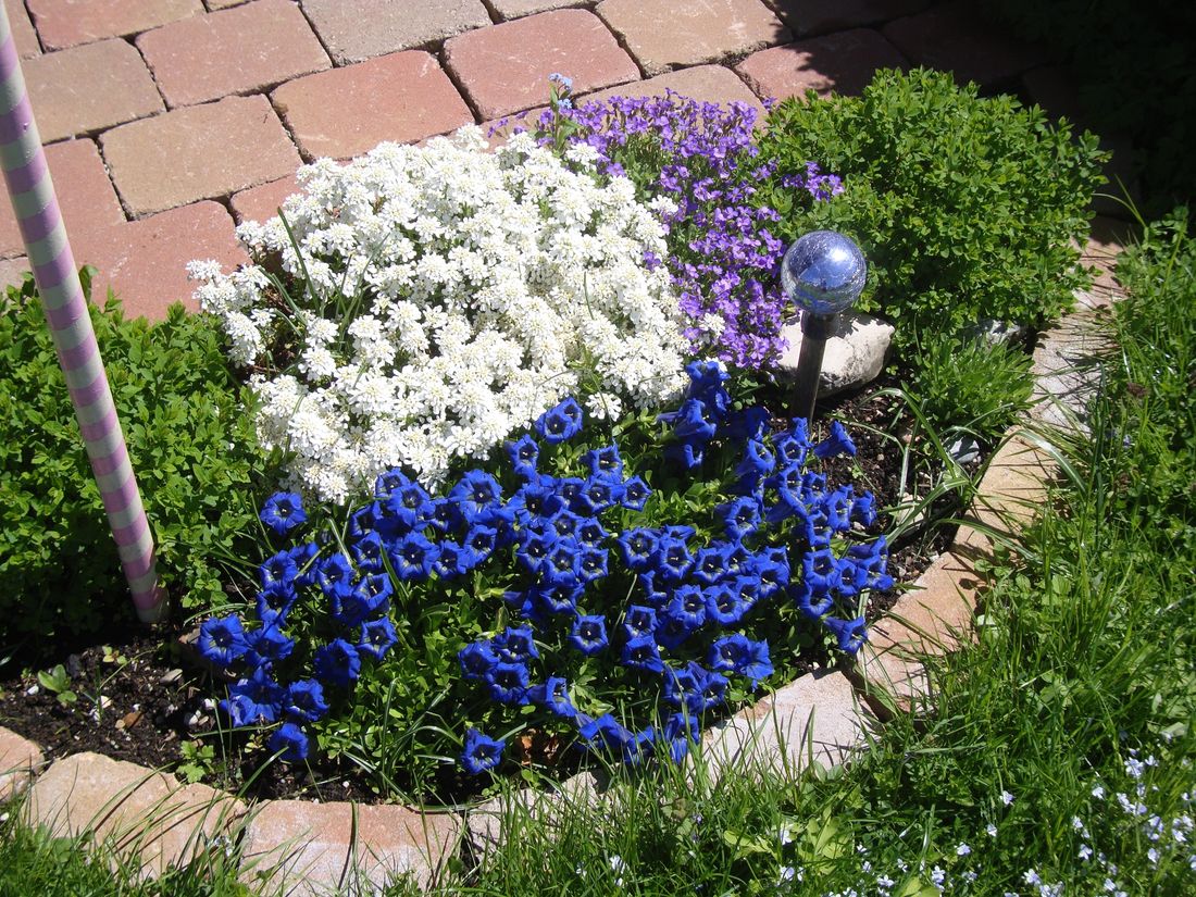 Blumenbeet