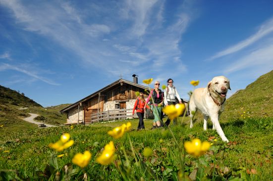 Urlaub mit Hund in Reit im Winkl