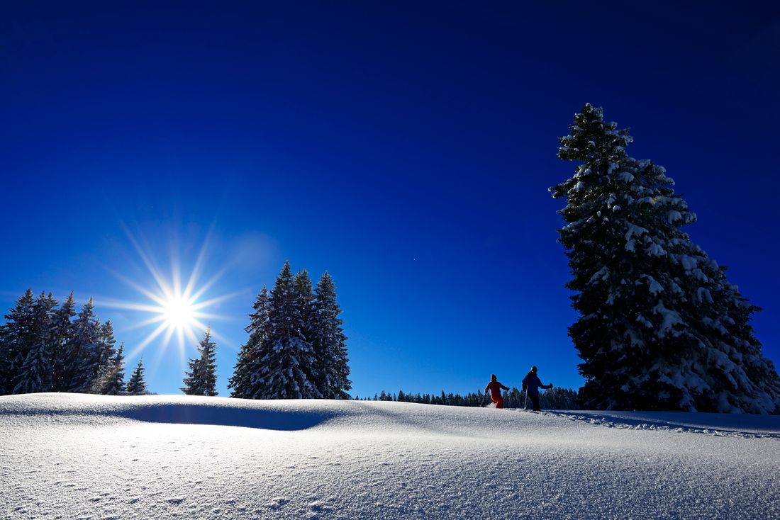 Premium Winterwandern Hemmersuppenalm