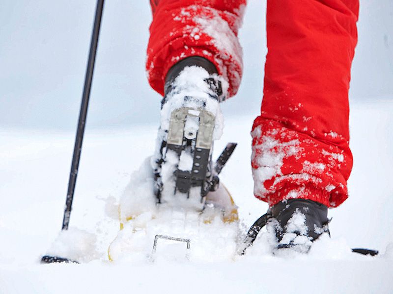 Schneeschuh_2