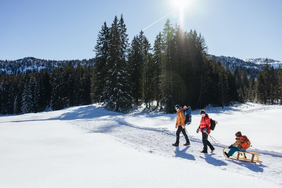 Winterwandern und rodeln auf der Hemmersuppenalm