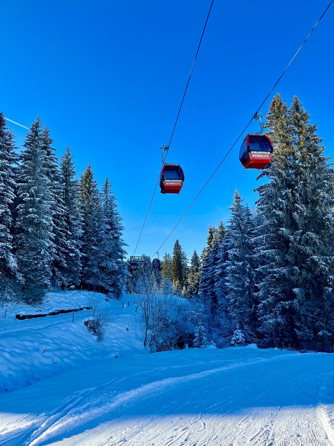 Skige