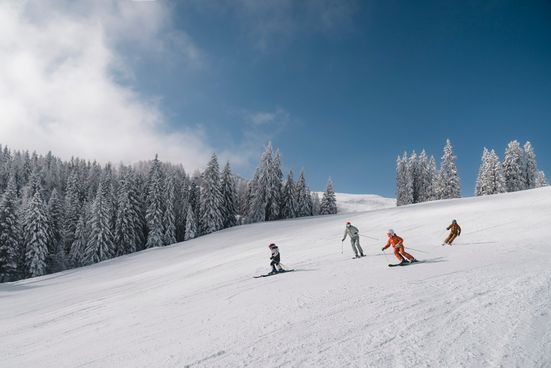 Skigebiet Winklmoos-Alm Steinplatte