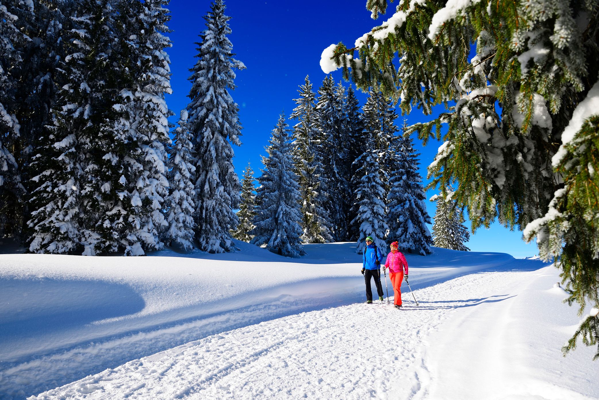Premium Winterwanderweg auf der Hemmersuppenalm