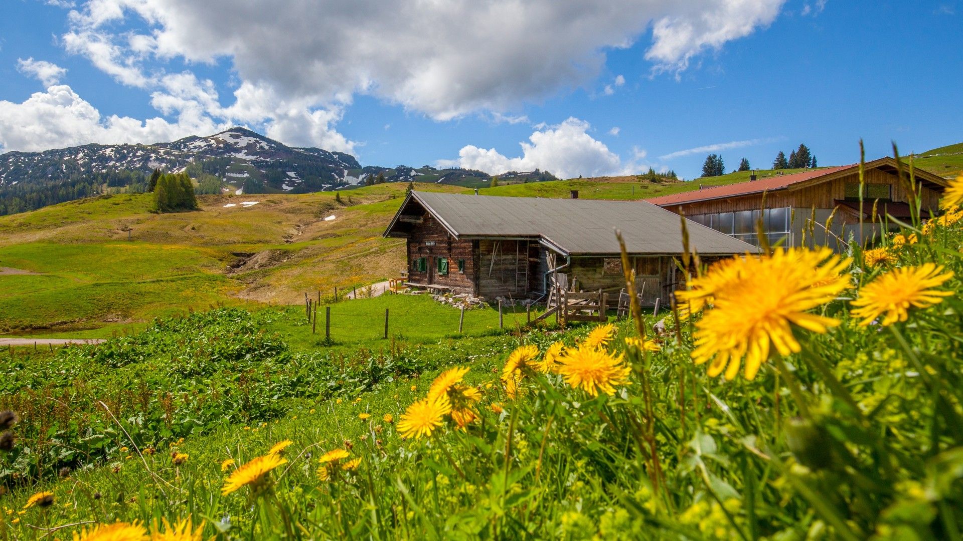 Möseralm auf  der Steinplatte