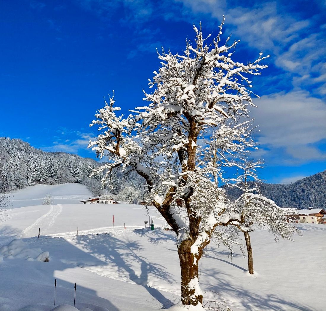 Winter Jausenstation Mühlberghof © Jausenstation Mühlberghof