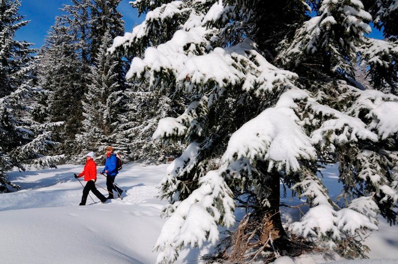 Ihre Gastgeber beim Winterwandern
