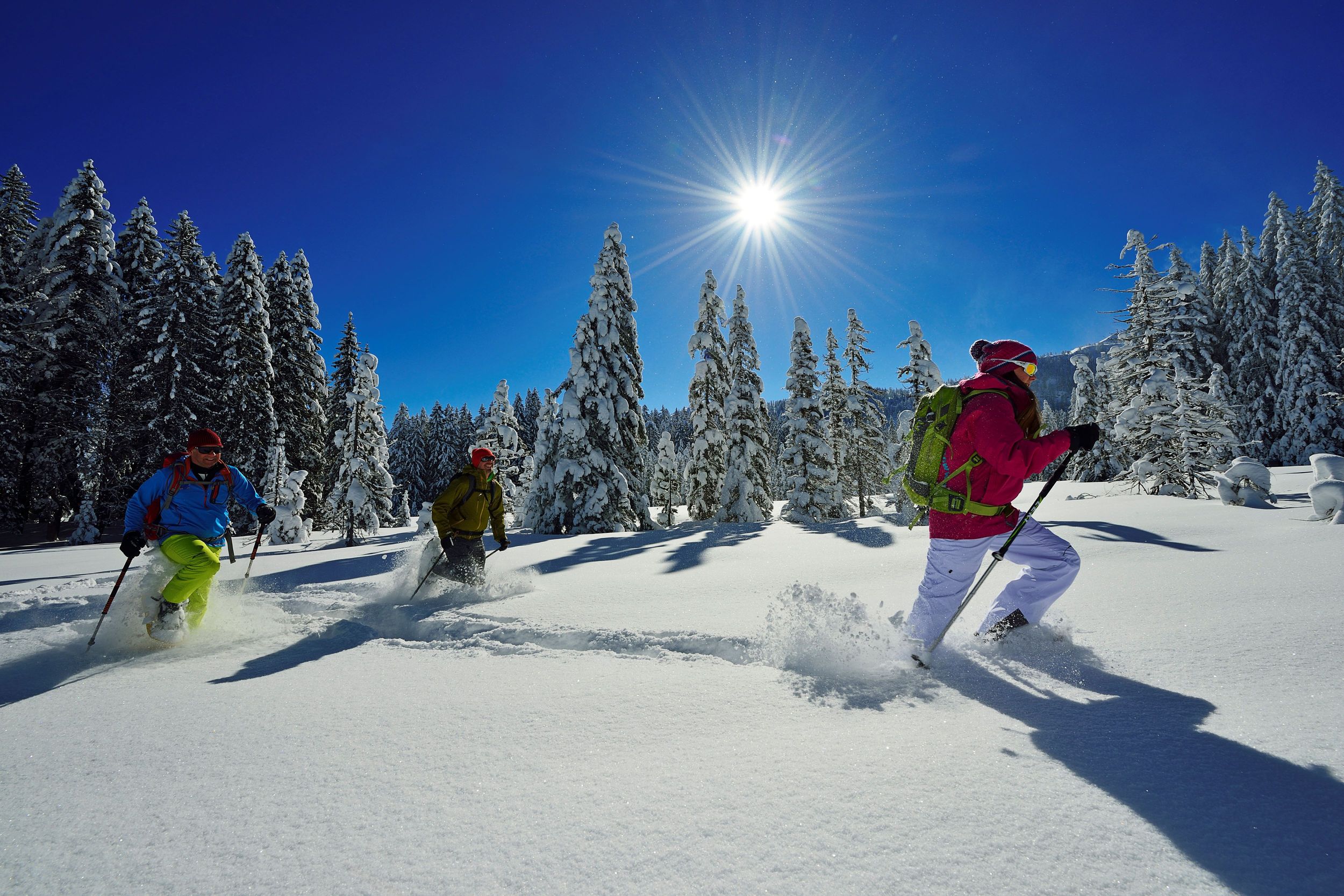 Schneeschuhwandern Hemmersuppenalm Fellhorn