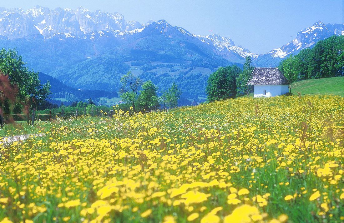 Auf der Winkelmoos Alm unterwegs