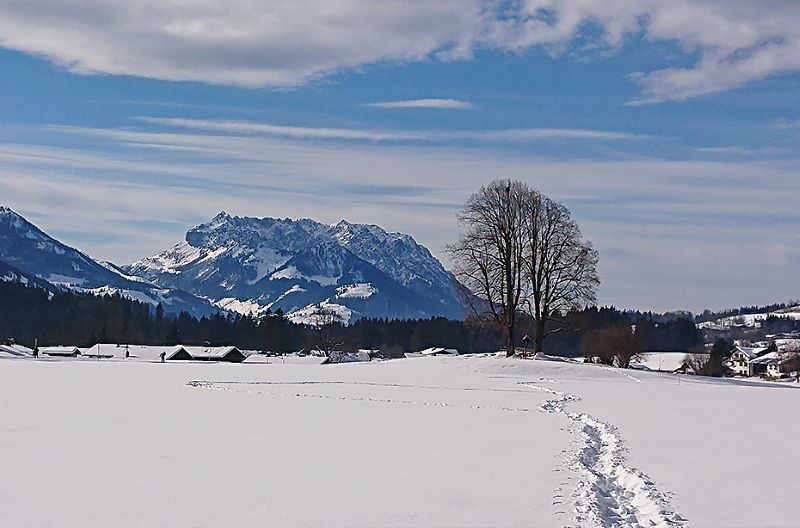 Winterpanorama