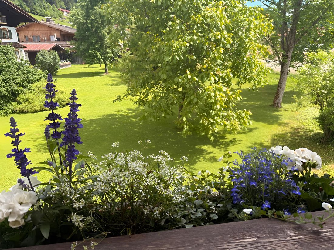 Blick vom Balkon