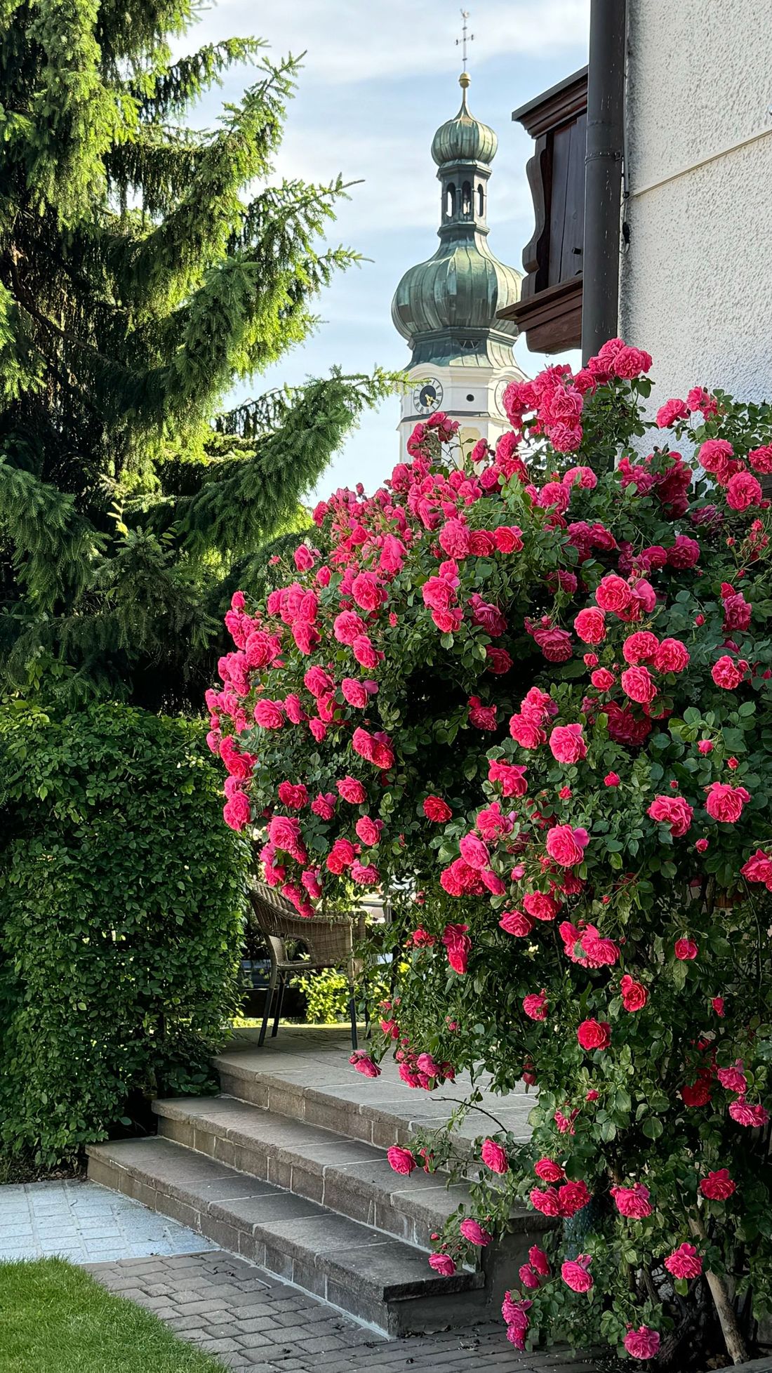 Ausblick von der Terrasse