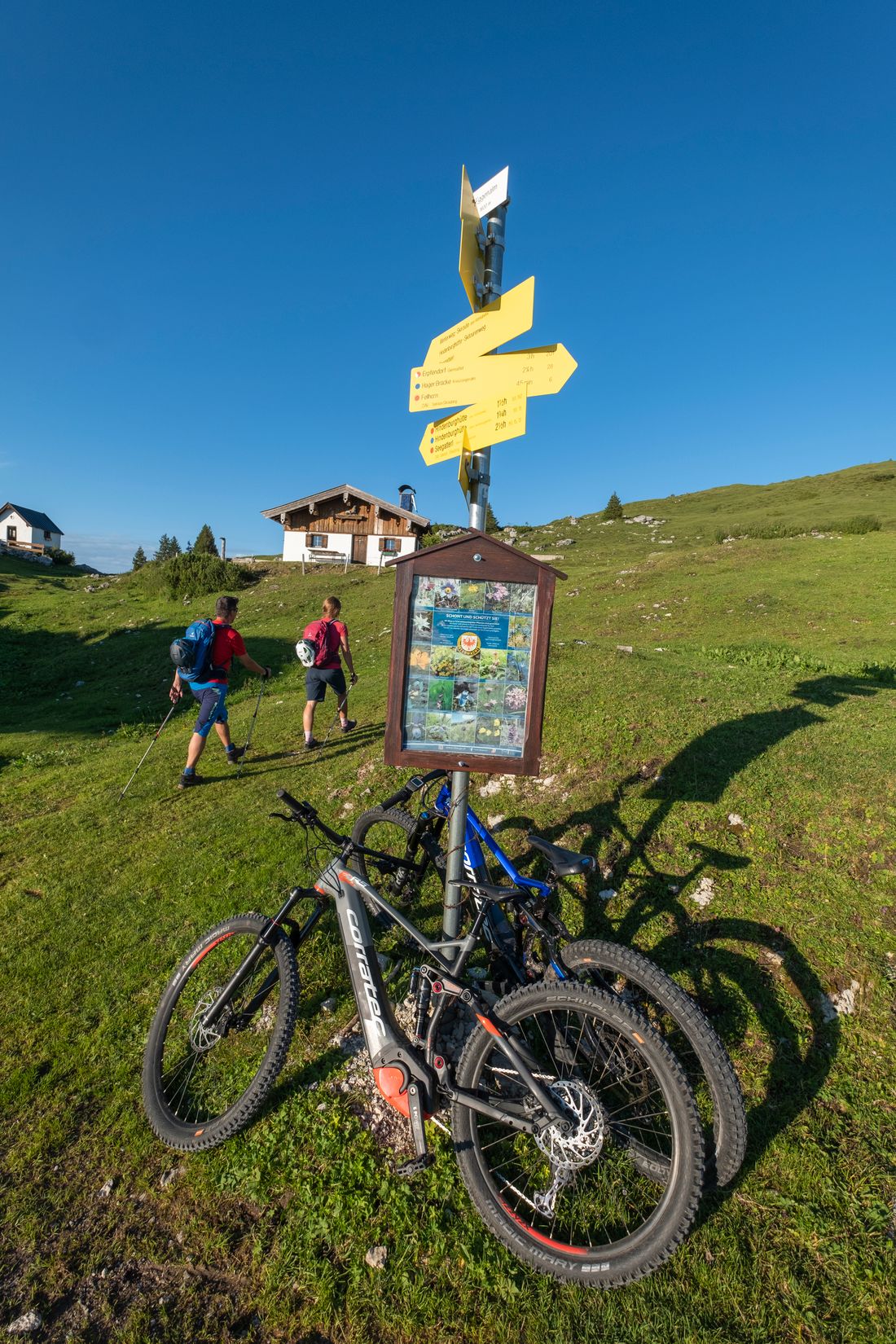 MTB auf der Eggenalm
