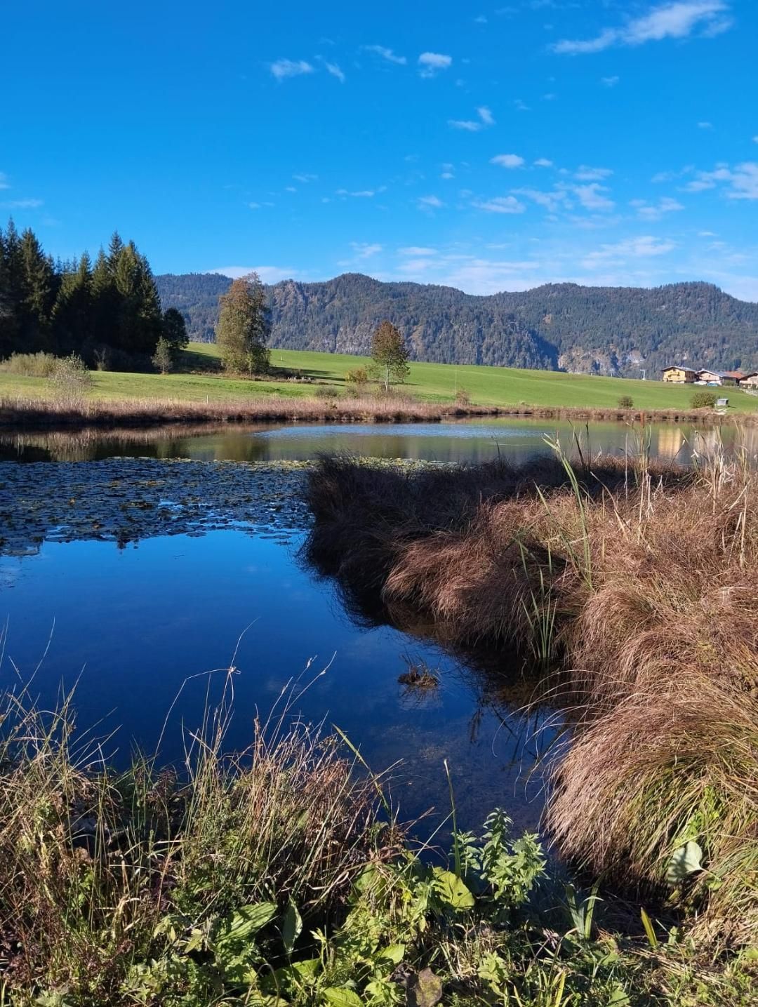 Ein 5-Minuten Spaziergang bis zum Blindauer Weiher