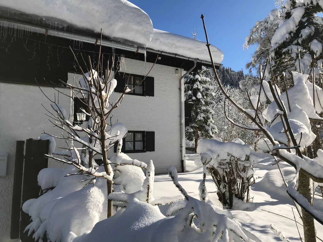 Garten im Winter