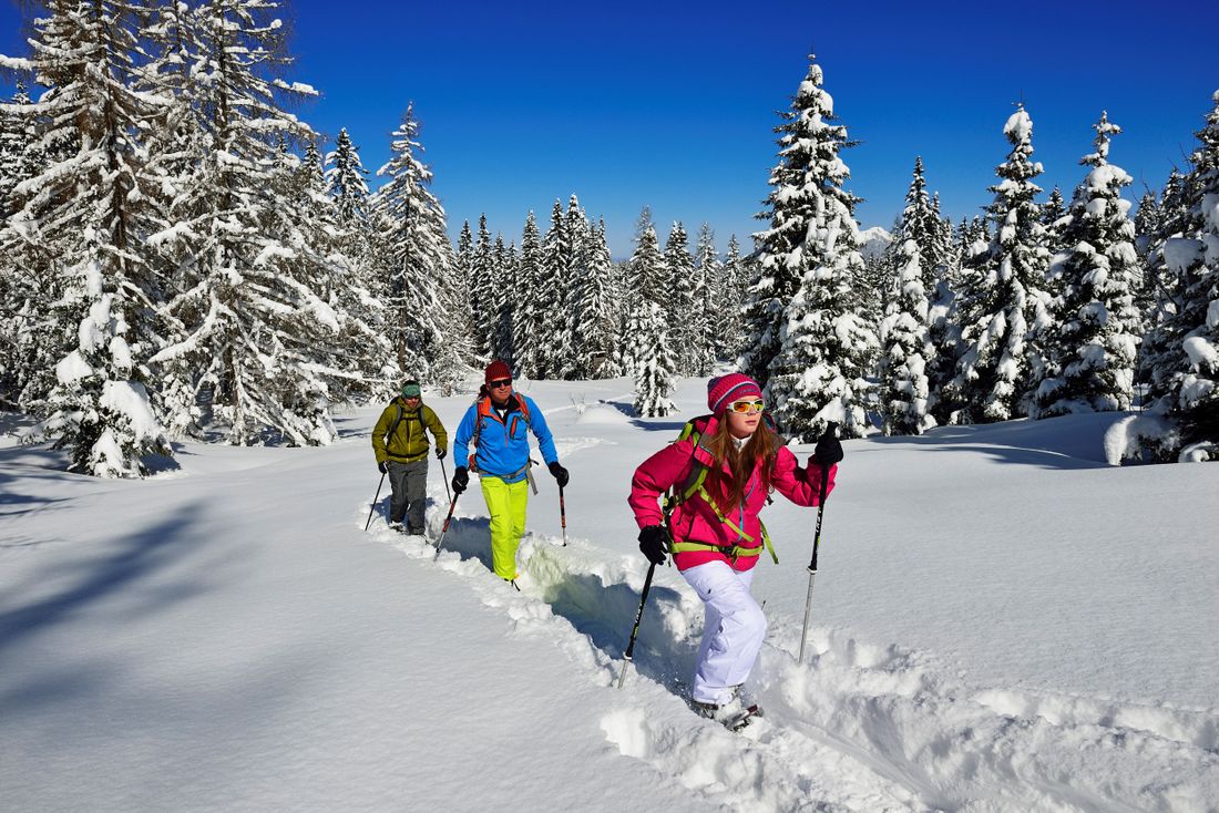 Schneeschuhwandern Hemmersuppenalm Fellhorn