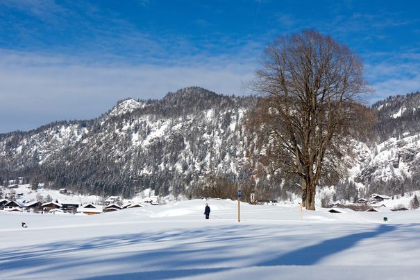 Winter am Wimmerkreuz