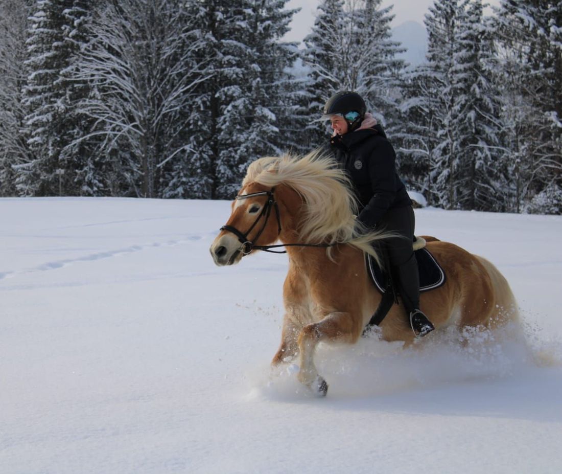 Winter
