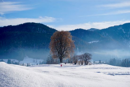 Winter day in Reit im Winkl