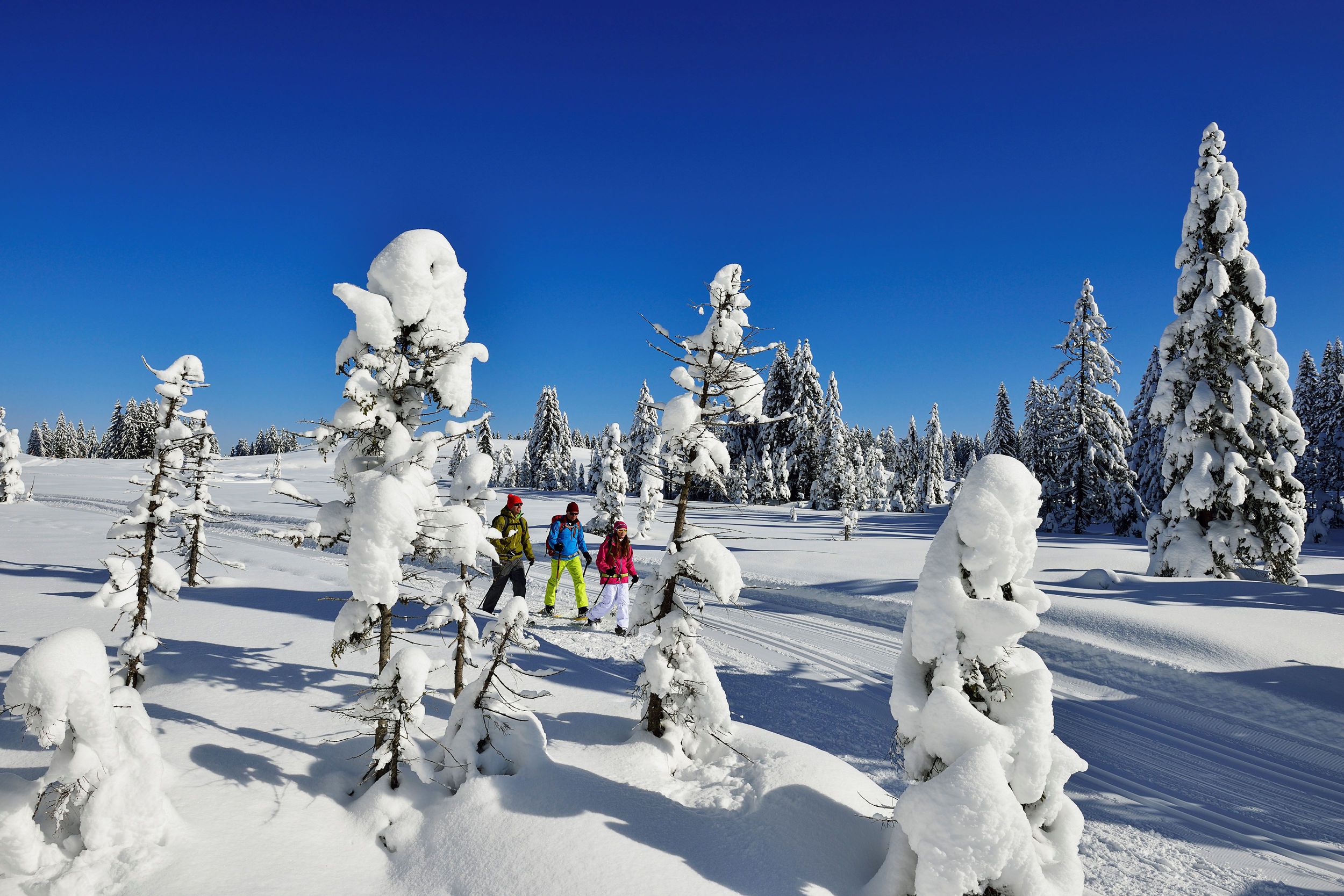 Schneeschuhwandern Hemmersuppenalm Fellhorn