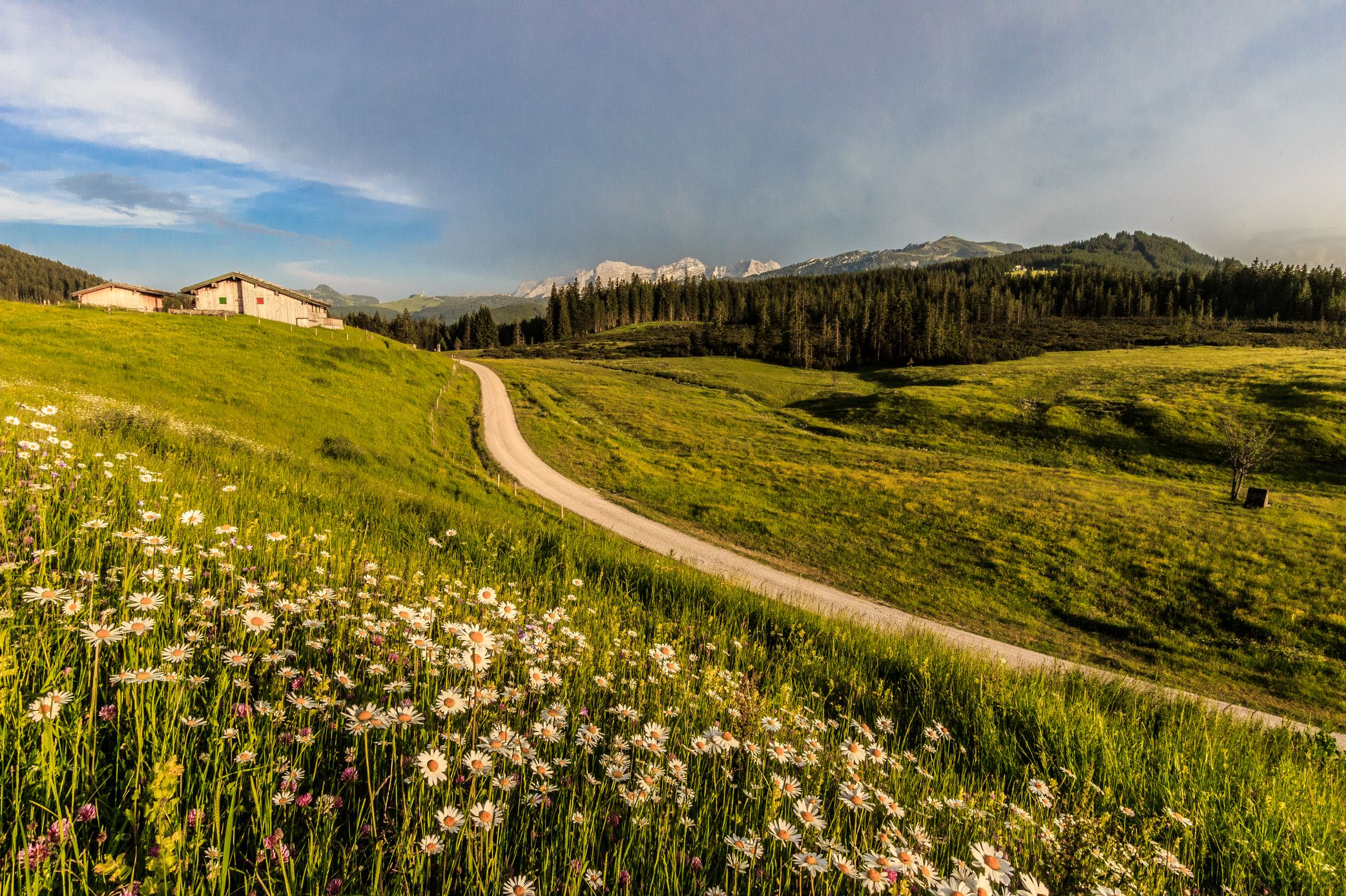 Die Winklmoos-Alm im Sommer