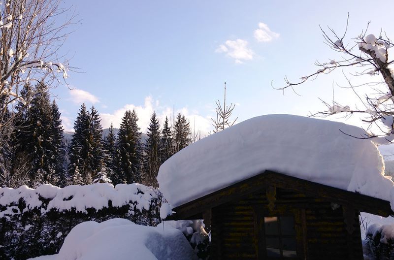 Schuppen- Winter
