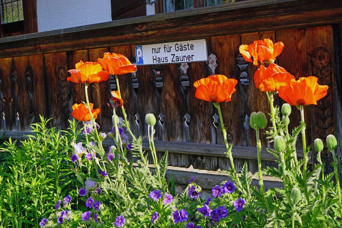 Parkplatz Haus Zauner