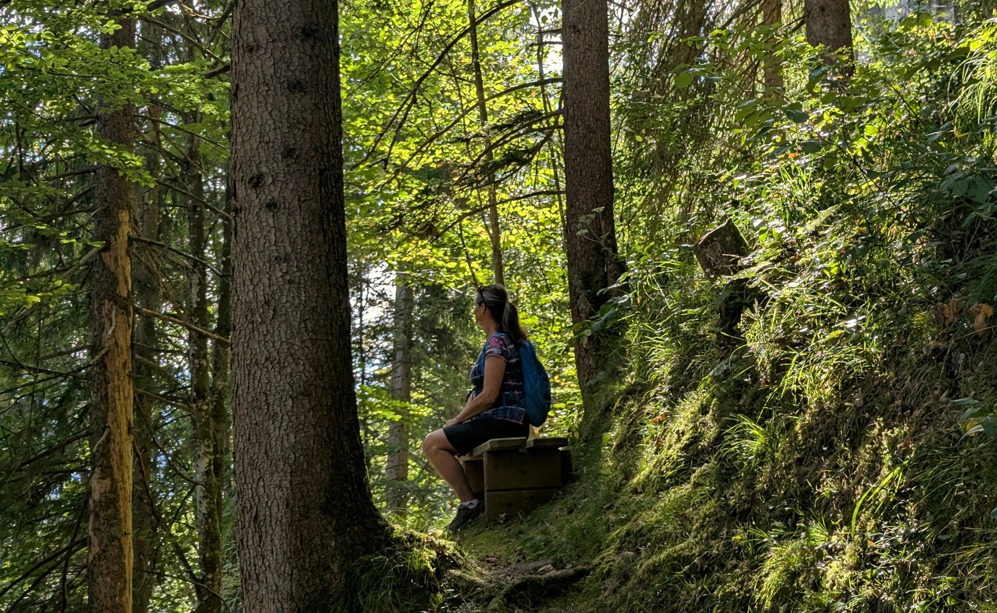 Terrainkurweg Kapellensteig