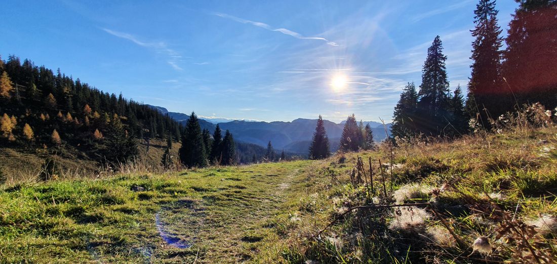 Abstieg zu den Dürrnbachalmen