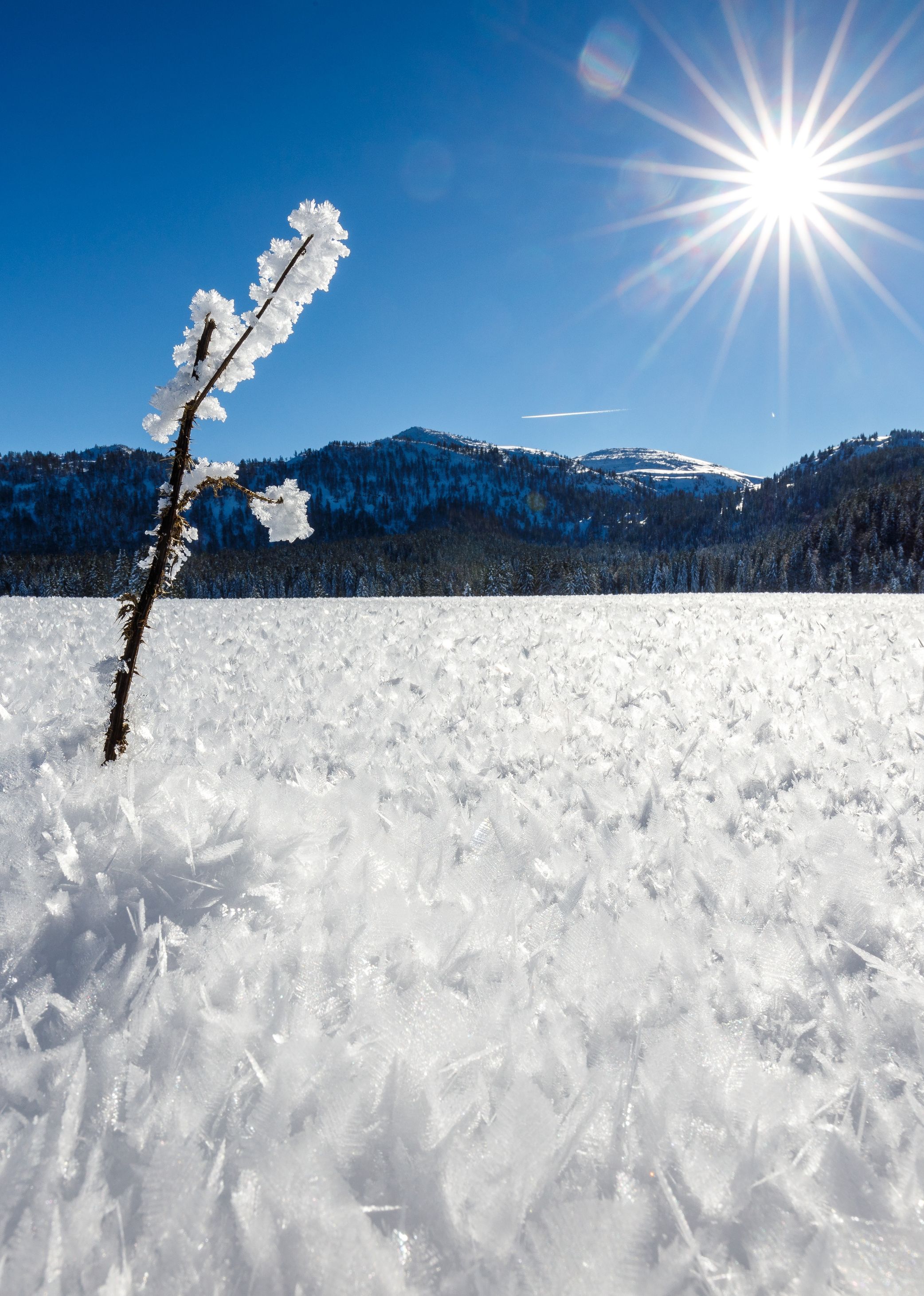 Winter auf der Hemmersuppenalm