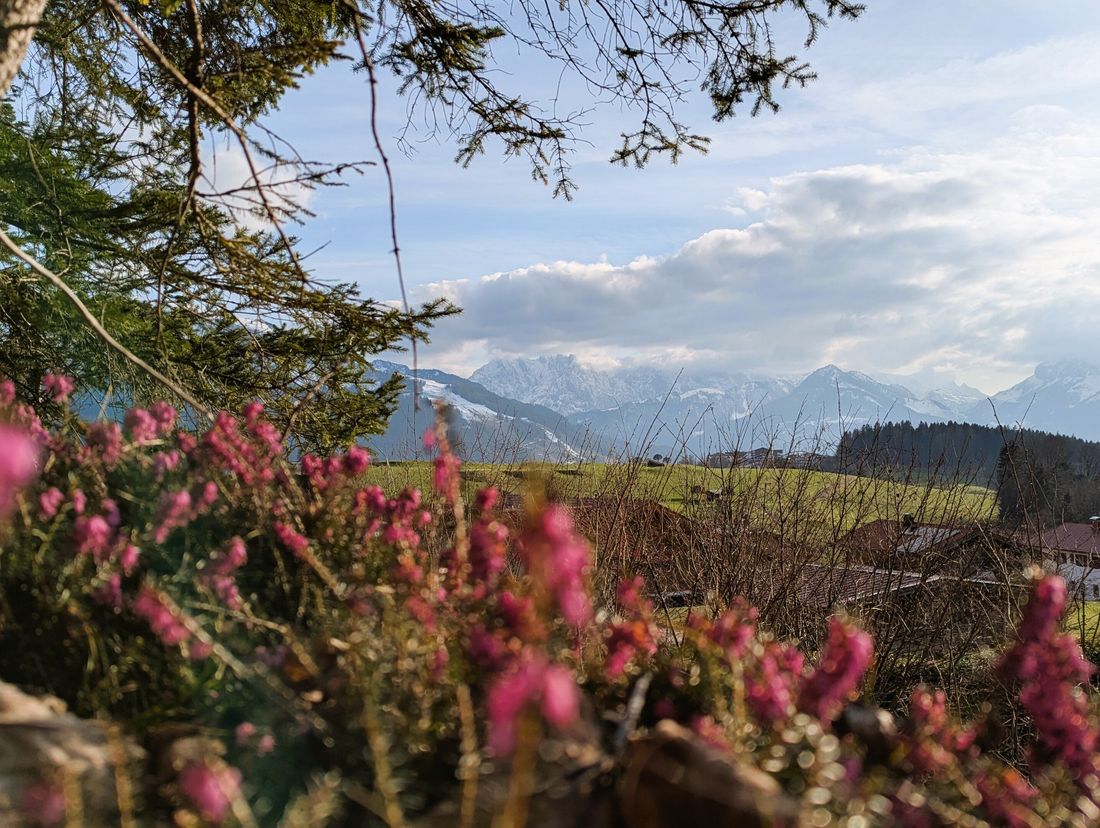 Landschaft Frühling