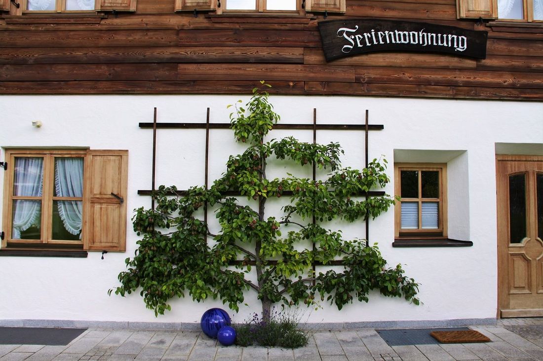 Hausansicht Osten Sommer