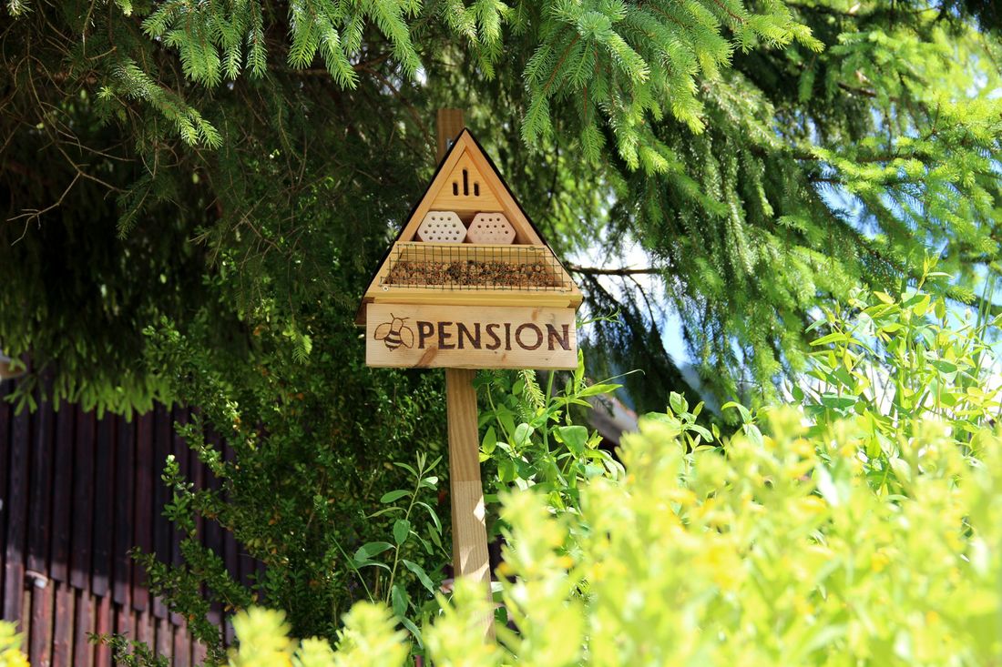 Bienen-Pension