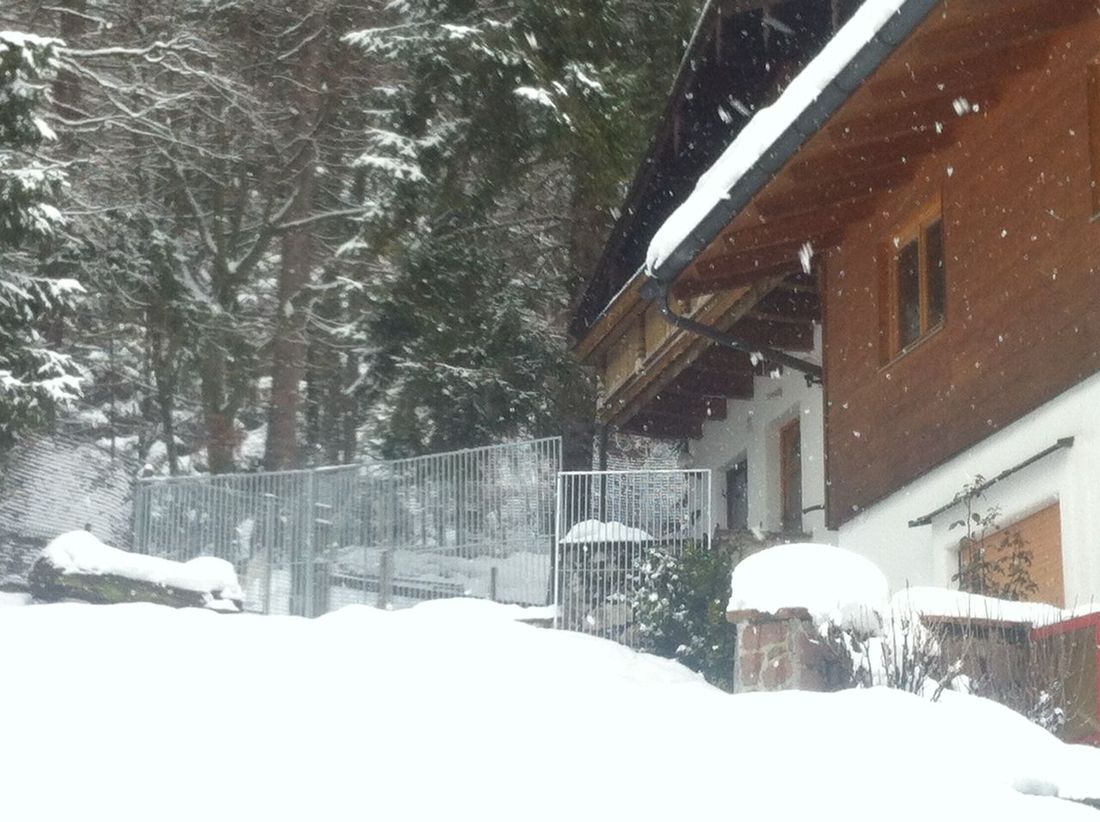 Freigehege direkt am Haus